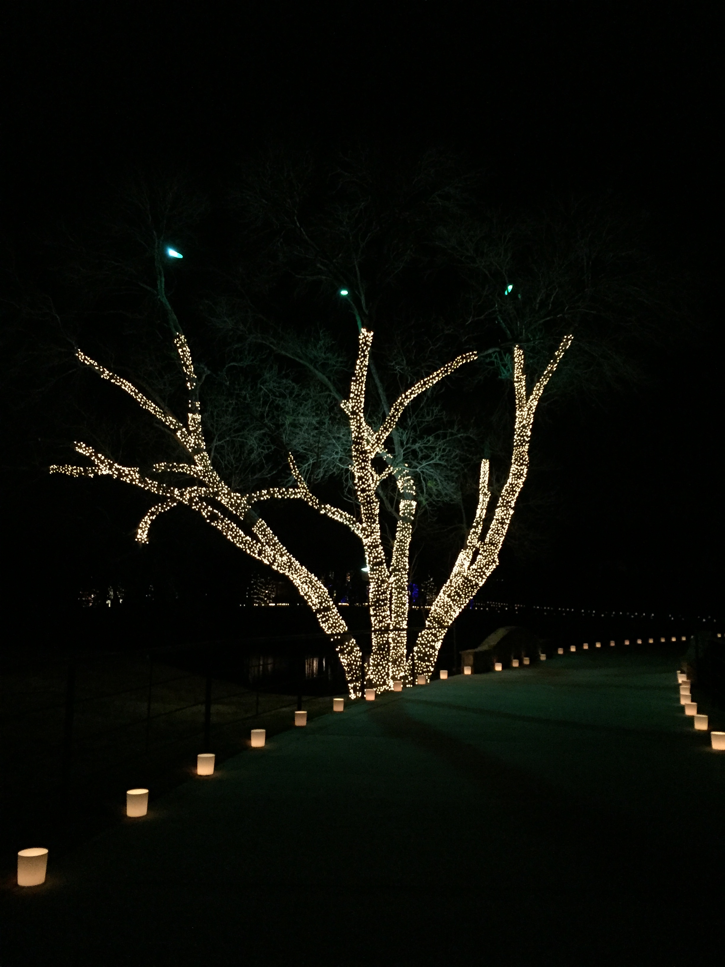 Highland Park Outdoor Lighting Dallas Landscape Lighting