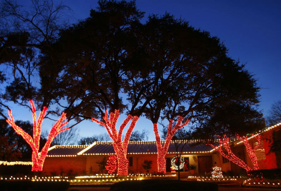 Wrapped Tree Lights Dallas Landscape Lighting