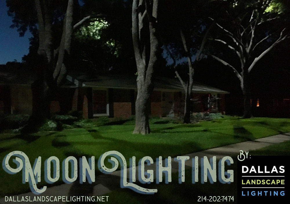 Allen Landscape Lighting Installation Dallas Landscape Lighting The #EPICBackyard Movement - Allen Landscape Lighting Installation Dallas Landscape Lighting