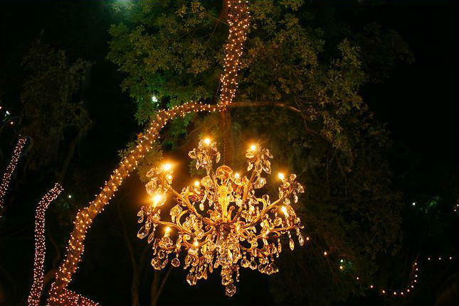 Wrapped Tree Lights Dallas Landscape Lighting