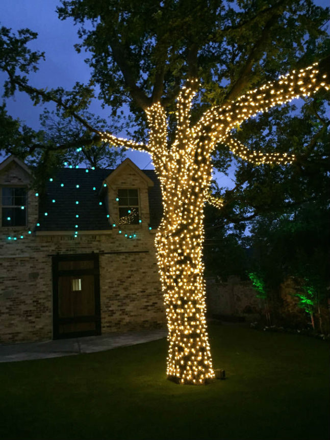 Dallas Landscape Lighting