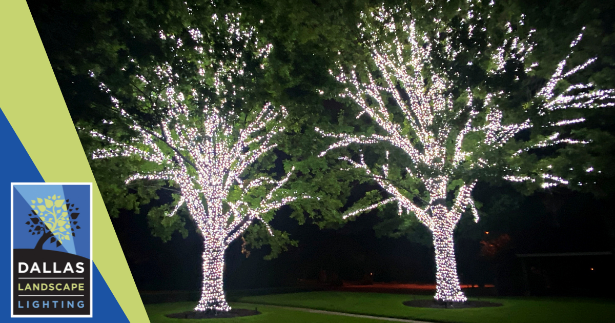 Christmas Light Installation in Plano with Dallas Landscape Lighting