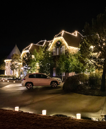 Christmas Lighting Installation - Get Help with Dallas Landscape Lighting