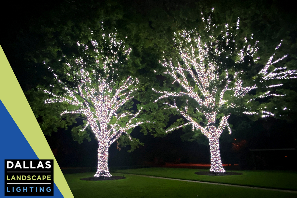 Christmas Lighting in Dallas - Dallas Landscape Lighting