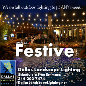 Party String Lights Dallas Landscape Lighting