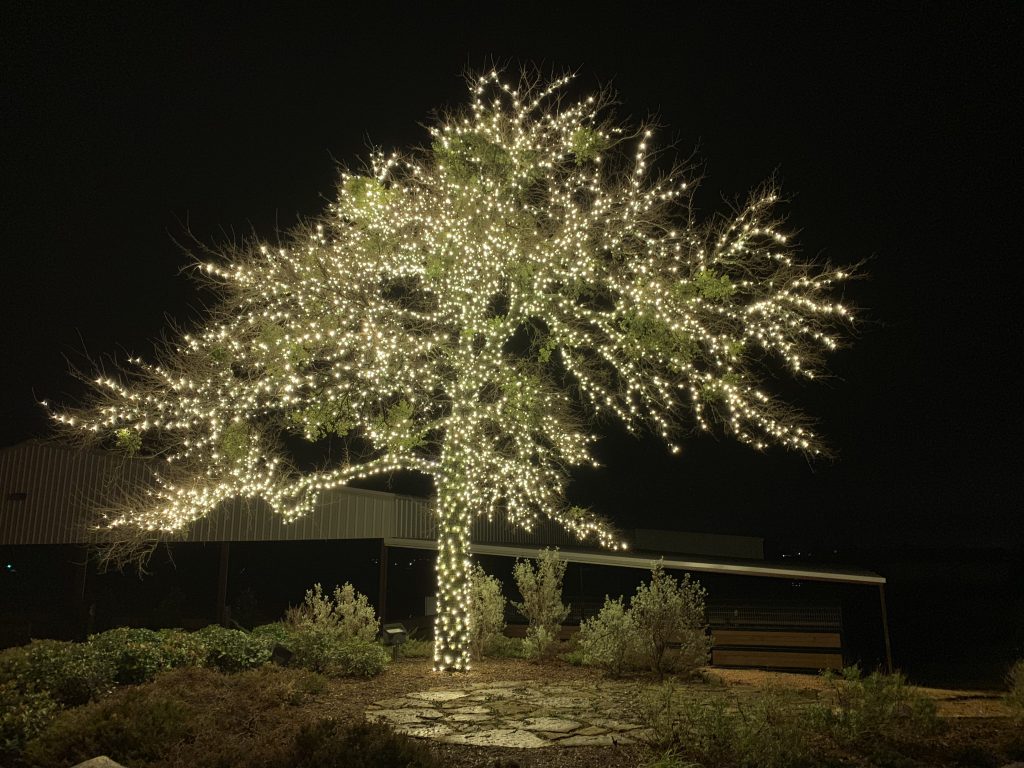 Christmas Light Installation Company in Dallas Dallas Landscape Lighting