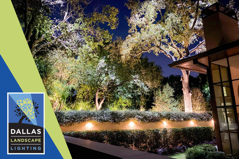 Memo Sammensætning Lure Outdoor Lighting Installation in Dallas - Landscape Lighting