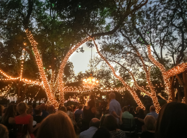 Tree Light Installation Services - Dallas Landscape Lighting