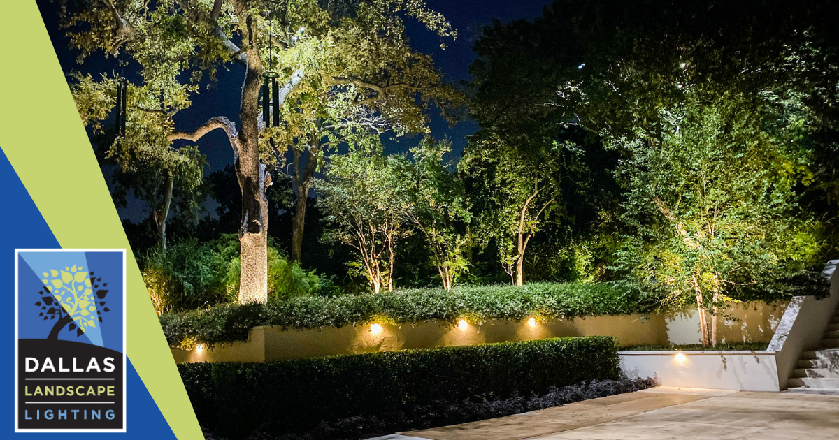 University Park Light Installation - Dallas Landscape Lighting