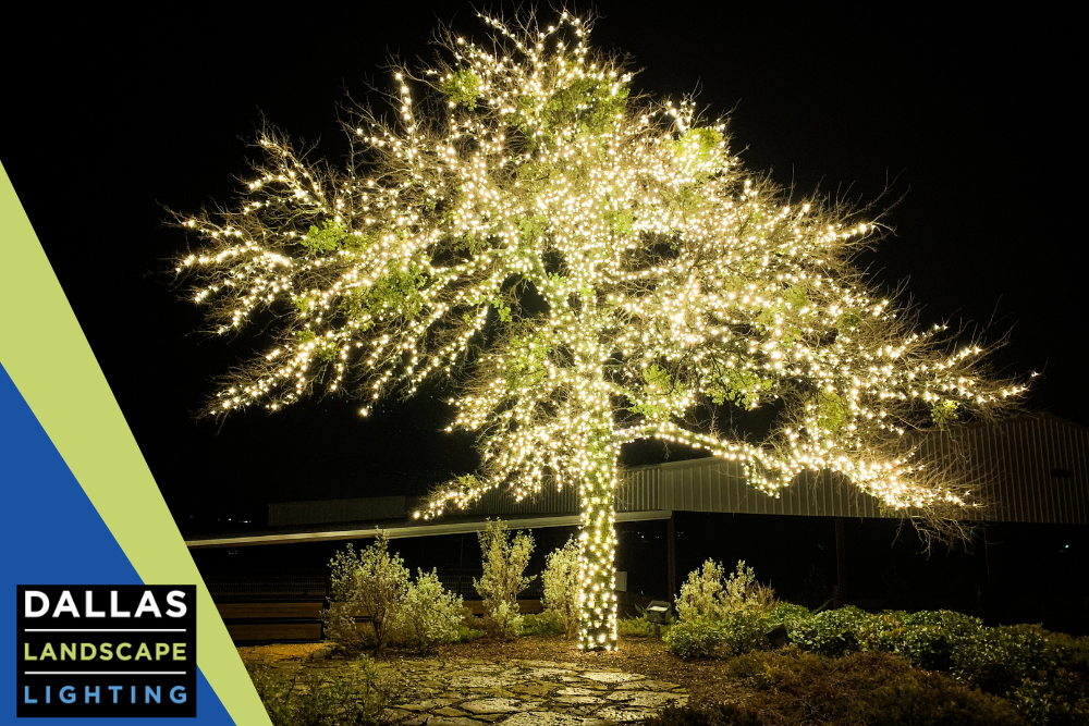 Wrapped Tree Lighting Installation