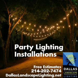 Party Light Installation Dallas Landscape Lighting