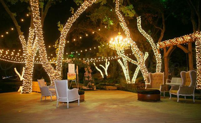 wedding-lights-wrapped-trees-chandelier-BG-C